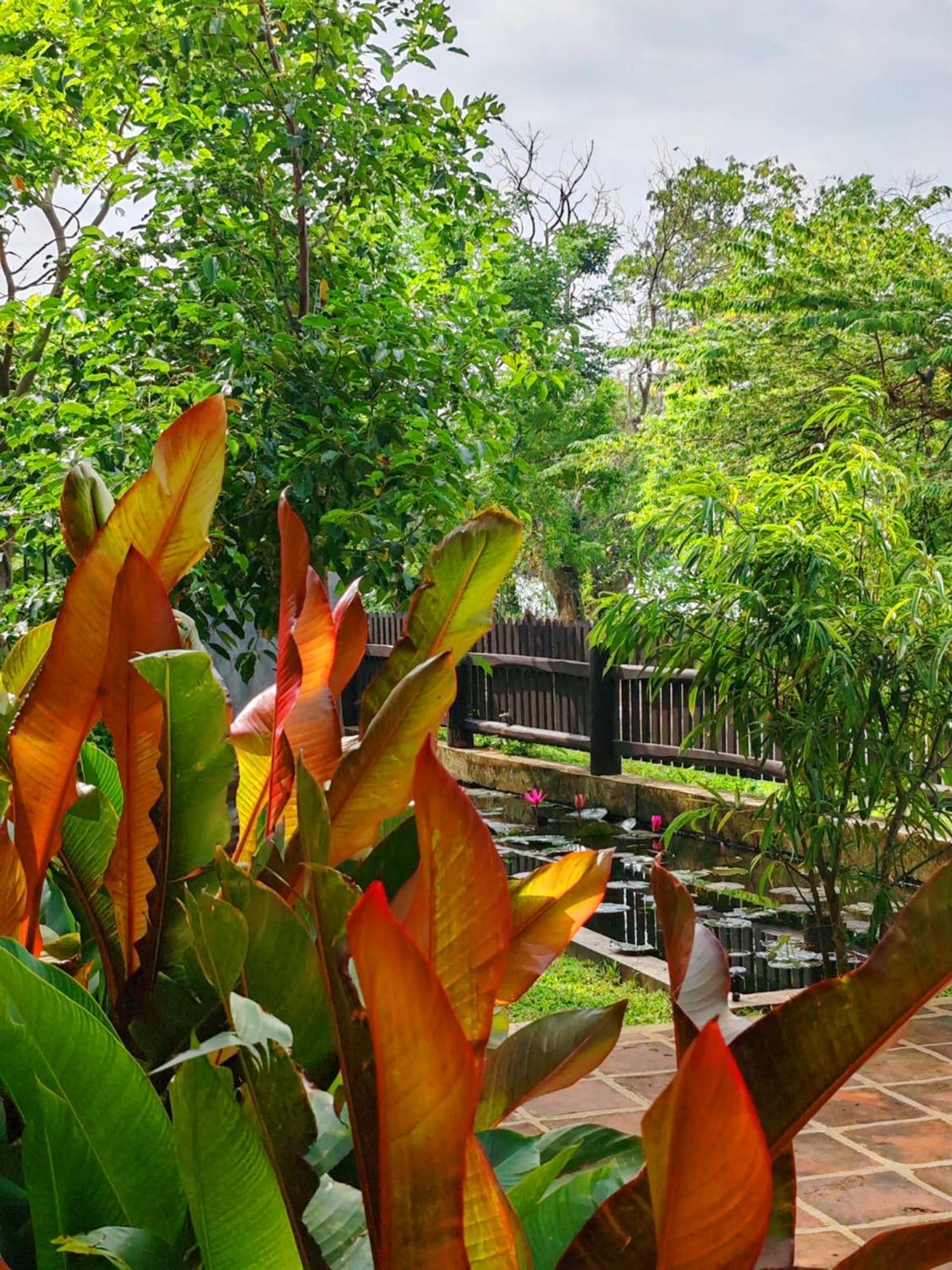 טיסמהרמה Art Yala Boutique Resort מראה חיצוני תמונה